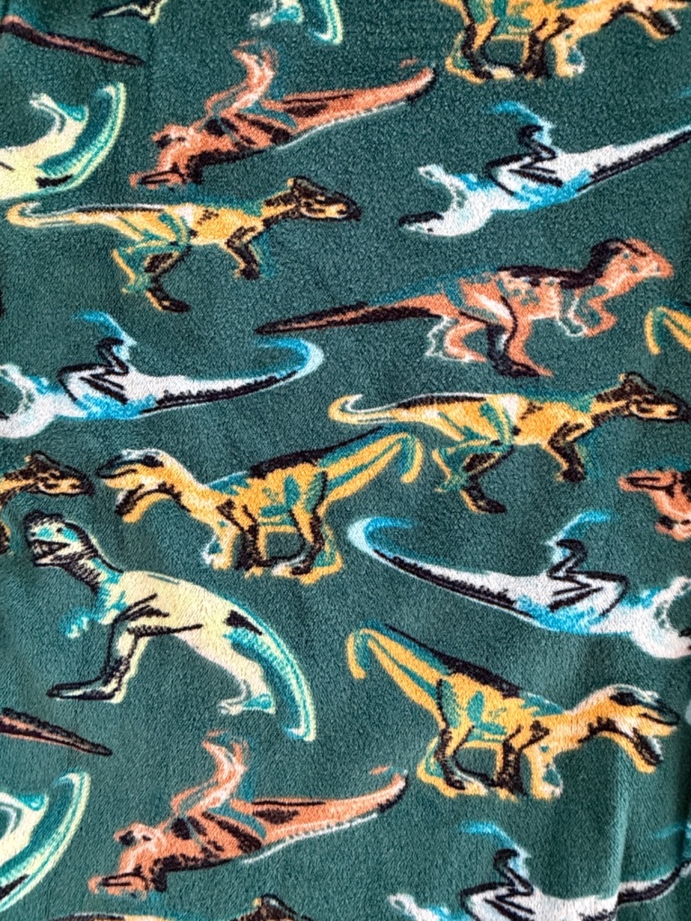Snuggly Soft Dino Pajamas Cat & Jack - Picture 5 of 7